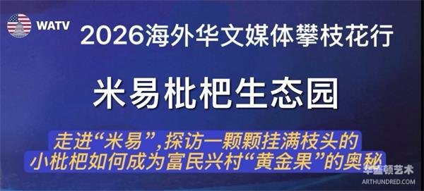 走进“米易”，探访一颗颗挂满枝头的小枇杷如何成为富民兴村“黄金果”的奥秘